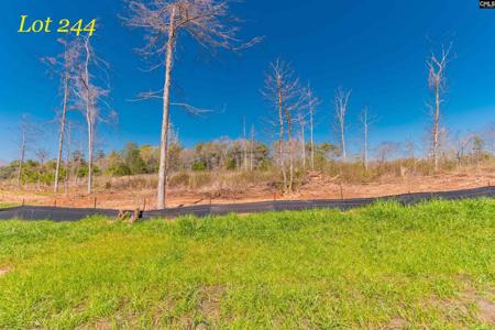 0 Woodside Shores Drive