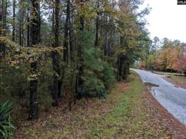 TBD River Rd./ Colonel Creek Dr