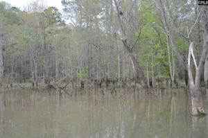 141 Rockbridge Road