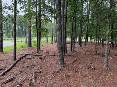 Lot 136 Stewart Landing Drive