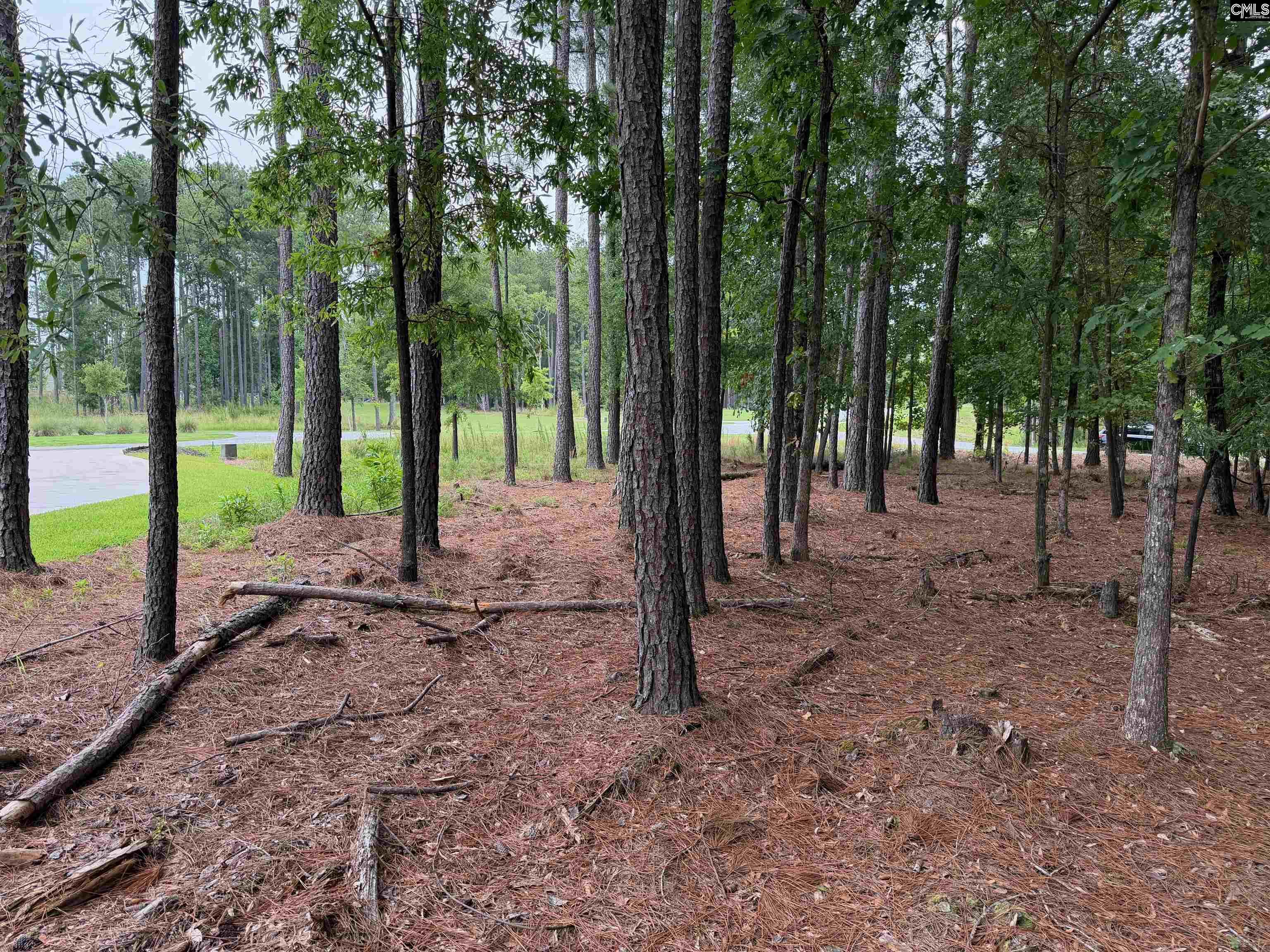 Image 4: Lot 136 Stewart Landing Dr