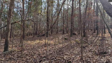 TBD Wateree Estates Road
