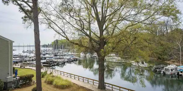 242 Shoreline Drive