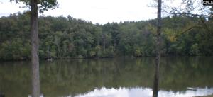 551 Living Waters Drive