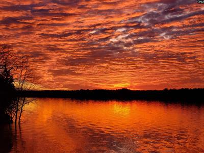 2207C Horton Cove Road