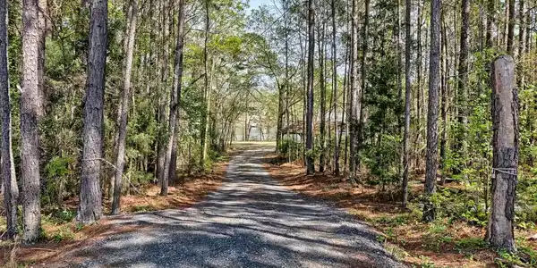 115 Devils Backbone Road