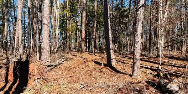141 Aiken Street
