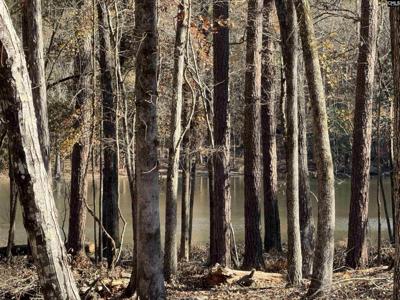 Lot 40 Shoreview Drive