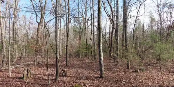 0 Rhinehart Road