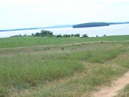 TBD FREES CREEK Drive