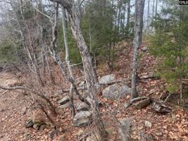 Lot 41 Wateree Key Court