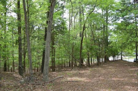 978 Rolling Hills Road