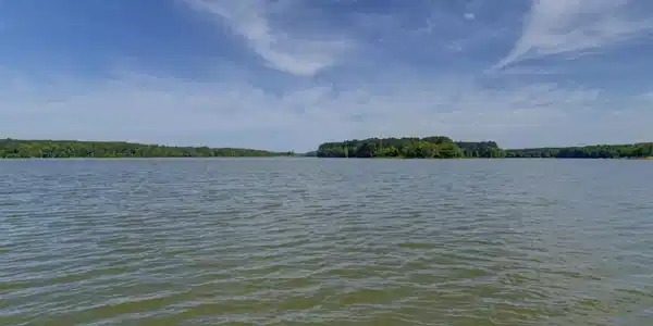 1347 Saluda Island Road
