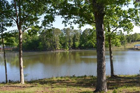 229 Molly Creek Circle