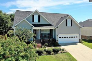 216 Longshadow Drive