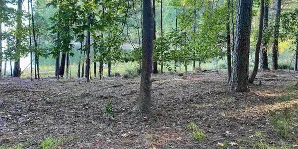 Resting Place Point