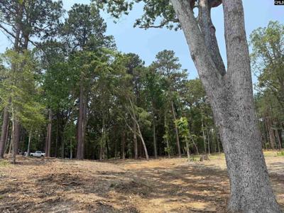 Hanging Oak Rd Hanging Oak Rd Lot 12