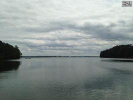 1311 COLE TRESTLE Road Lot 3