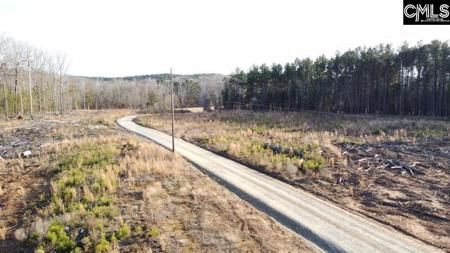 0 Debutary Road