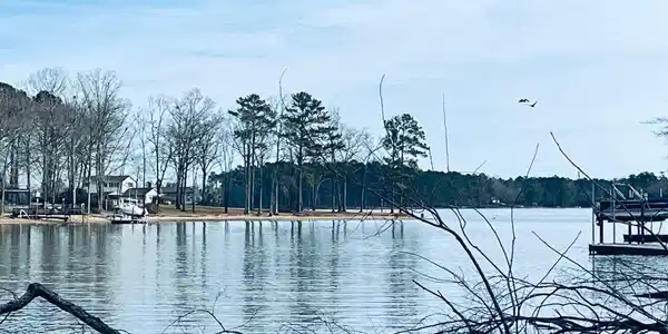 0 Osprey Pointe Lane