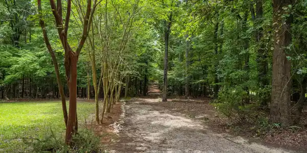Image 2: Scenic entry