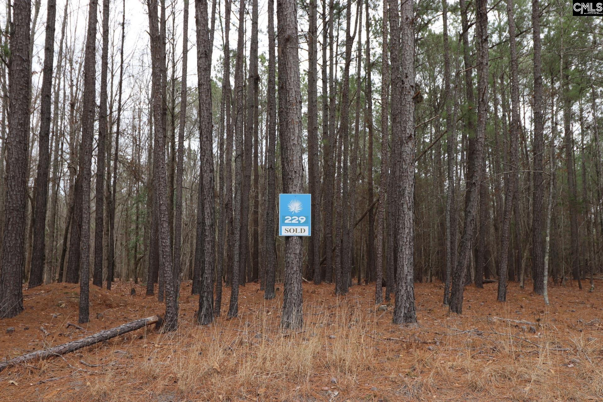 Image 2: Lot 229 of Stewart Landing on Granny Hill Rd 1.47 Acres