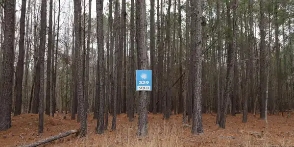 Image 2: Lot 229 of Stewart Landing on Granny Hill Rd 1.47 Acres