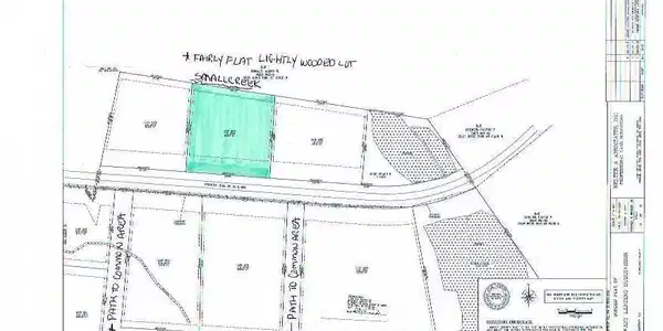 Image 3: Plat of Fairly Flat Lightly Wooded 1.47 Acres Lot 229 Granny Hill Rd
