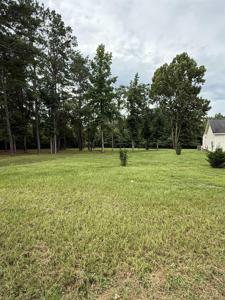 16798 Bay Branch Rd