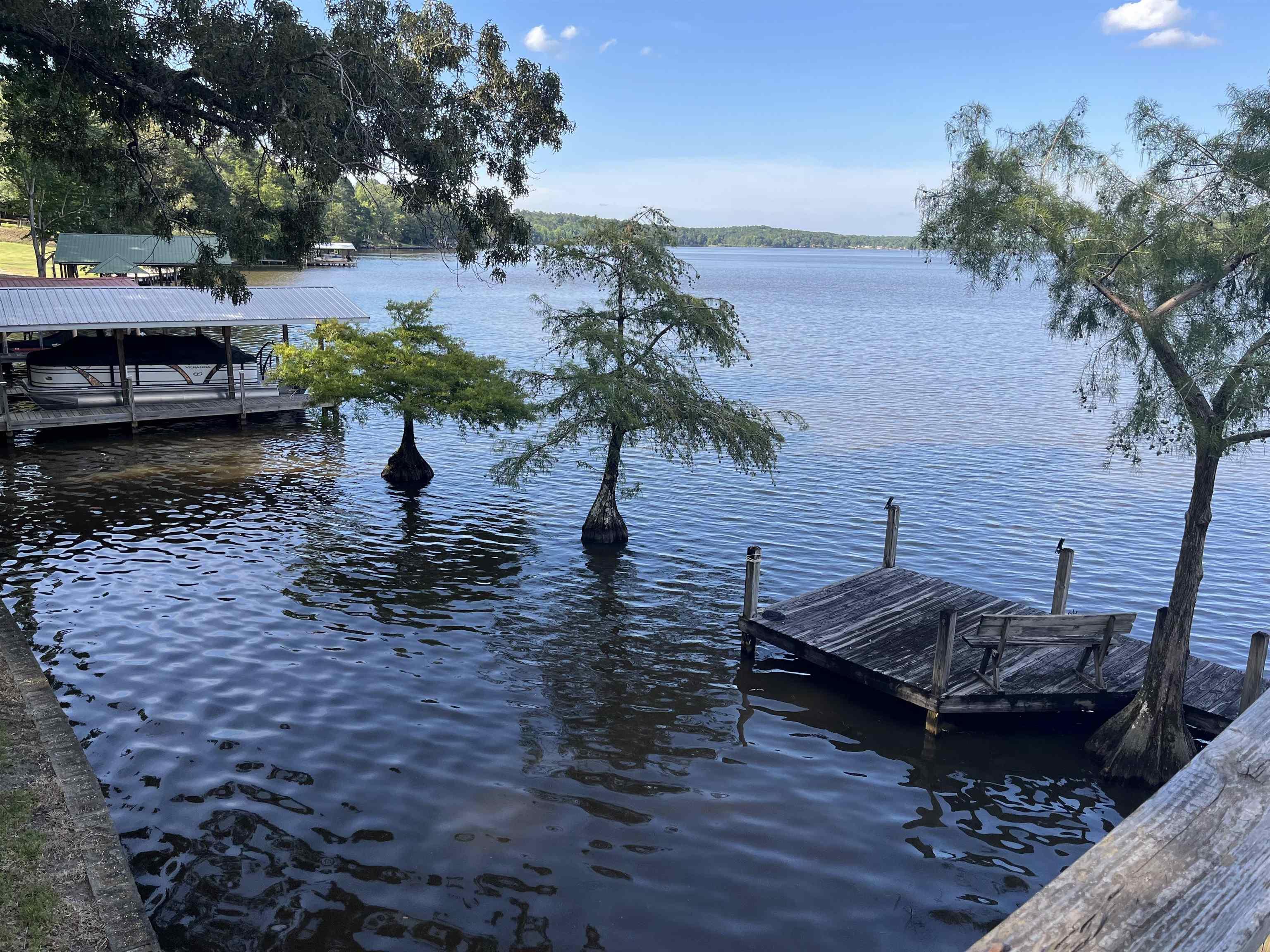 Image 3: View from Deck