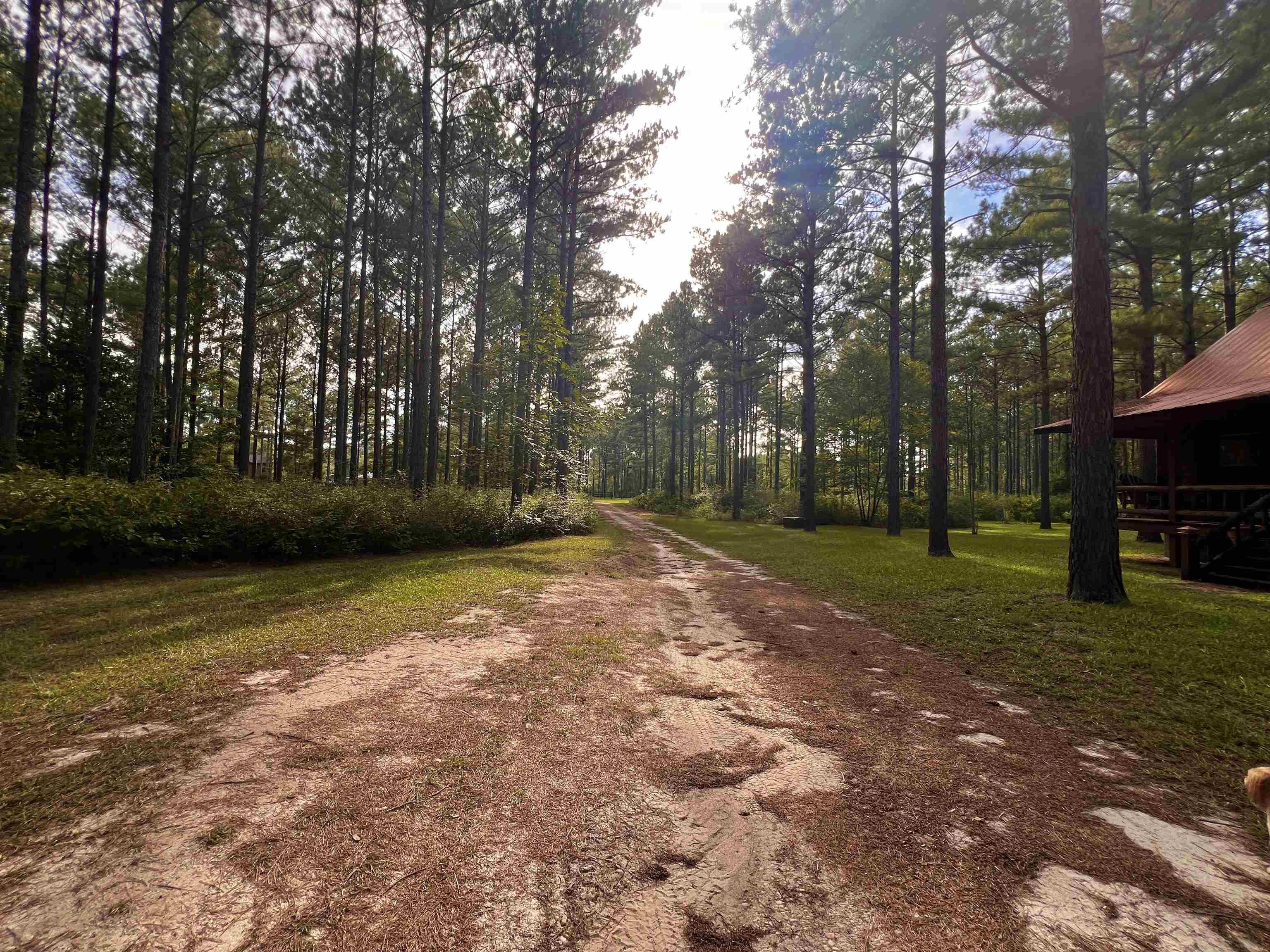Image 2: Driveway