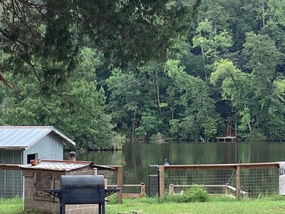 25958 Bush isle Rd