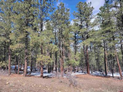 X Echo Lake Access Easement