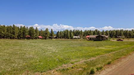 1338 Antelope Avenue