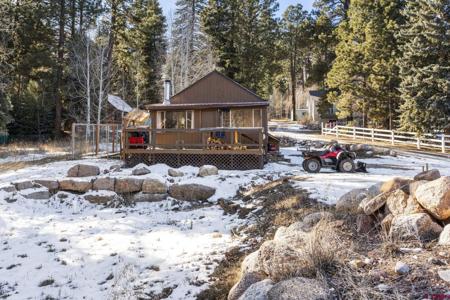 17331 County Road 501