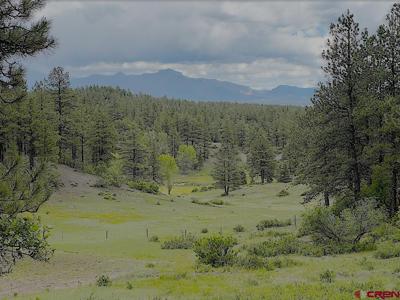Lot 32 Esmt X Piney Place