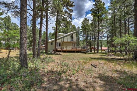 46 Carefree Place