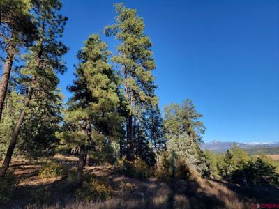 21 Echo Lake Access Easement