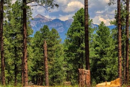 Lot 11 Hidden Valley Drive