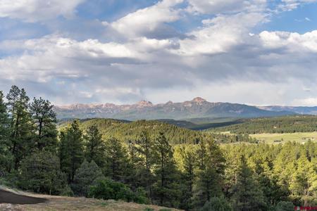 61 Boulder View Ct., 313 Alder Pl. & 331 W Blue Lake Place
