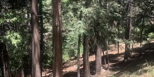 0 State Hwy 189