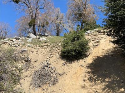 147 Lot 147 Edelweiss Drive