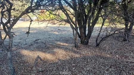 494 Kelly Ridge Road