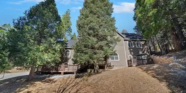 27312 Little Bear