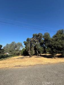 3595 Mountain View Street