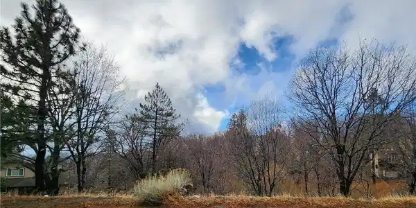 0 State Hwy 173