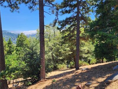 315 Weisshorn Drive