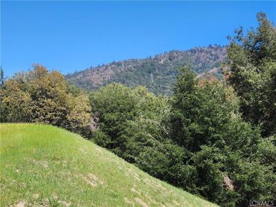 327 Davos Drive