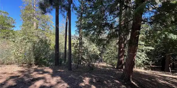 27528 North Bay Road