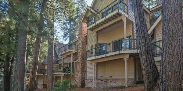 27494 White Fir